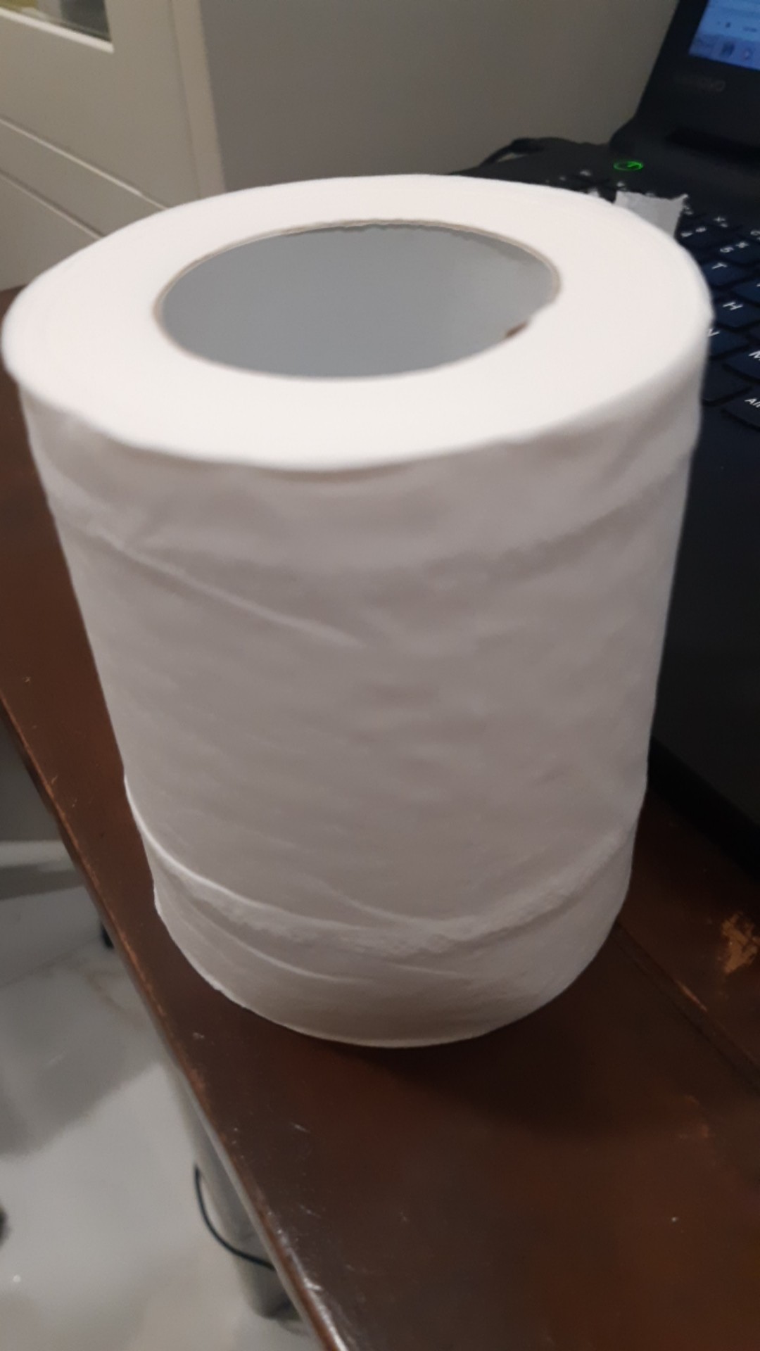 Tissue Gulung / Livi Evo Smartdue Toilet Roll 205s (karton)