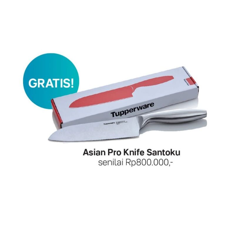 Pro Asian Santoku Knife