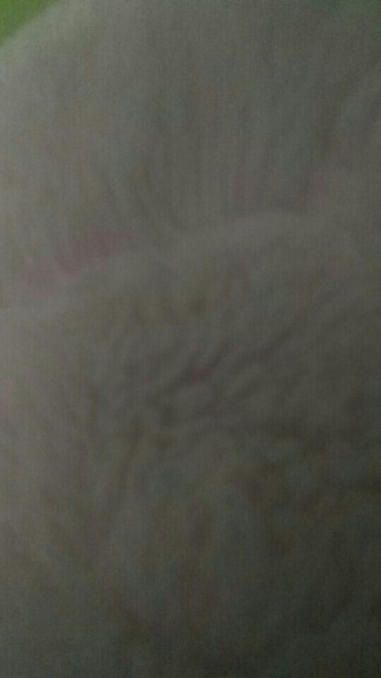 Eelic Meg-e480 Mesin Grinda 480 Watt  4 Inch Potong Besi