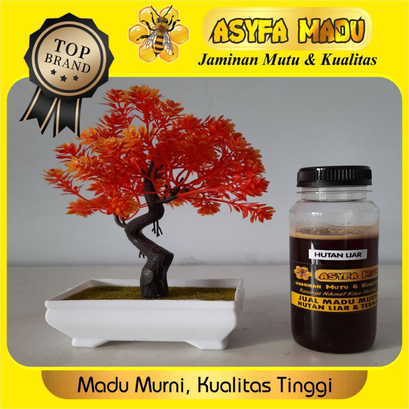 

madu hutan liar murni Apis Dorsata kemasan ¼ kg