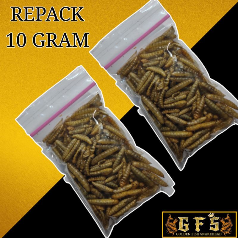 Akari Maggot pro repack 10gram