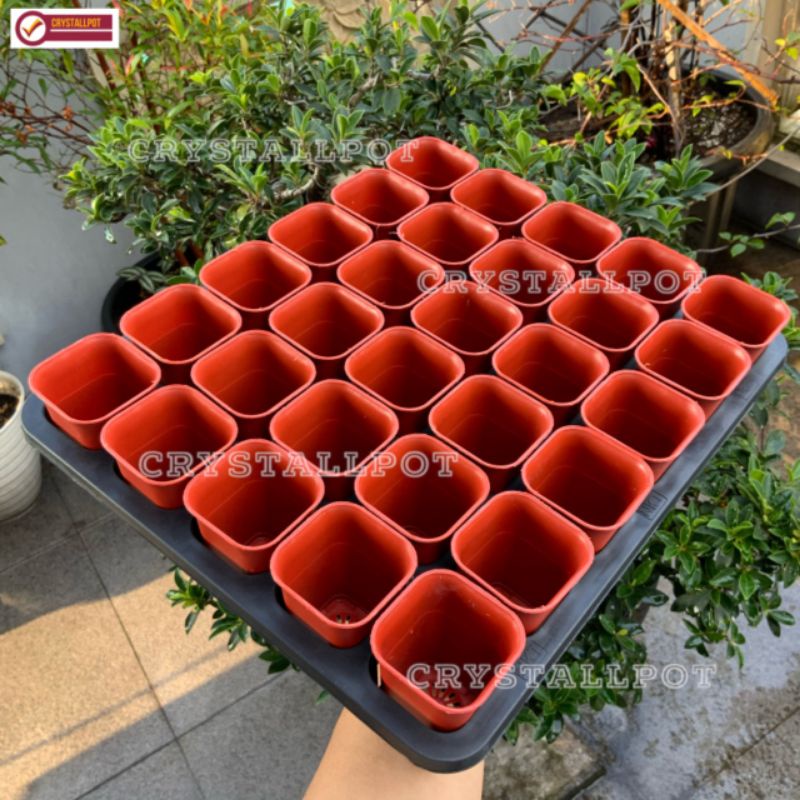 1 SET TRAY LUBANG 30 + POT NKT KOTAK 5CM MERAH BATA 30 PCS | TRAY SEMAI BIBIT