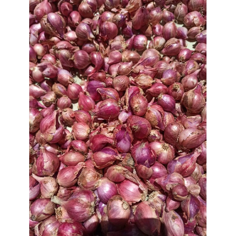 

bawang merah