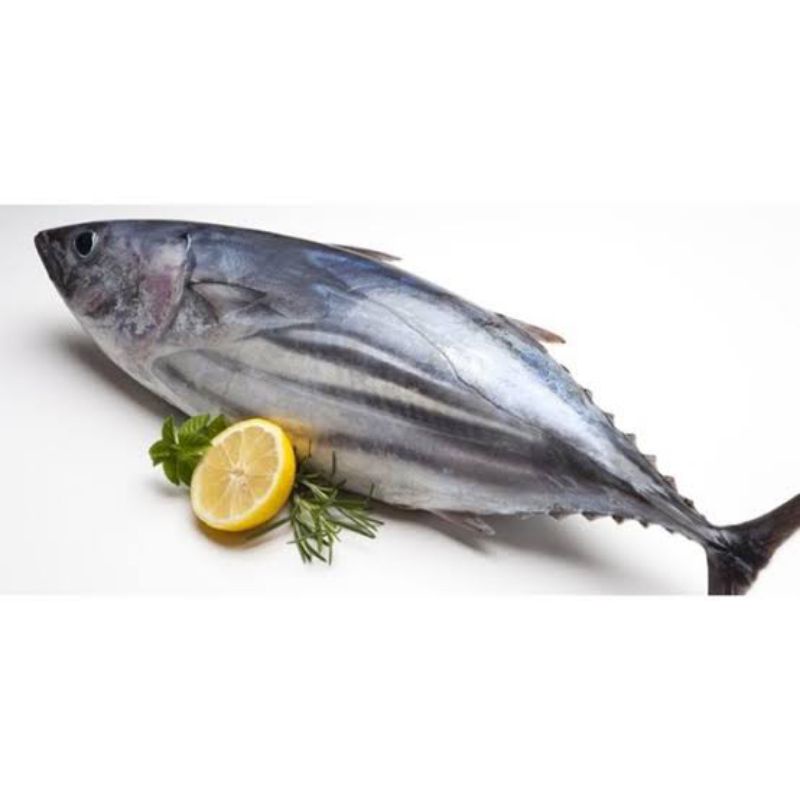 

BSM | TERMURAH Ikan Tongkol Segar 500gr - 1kg | Sayur online
