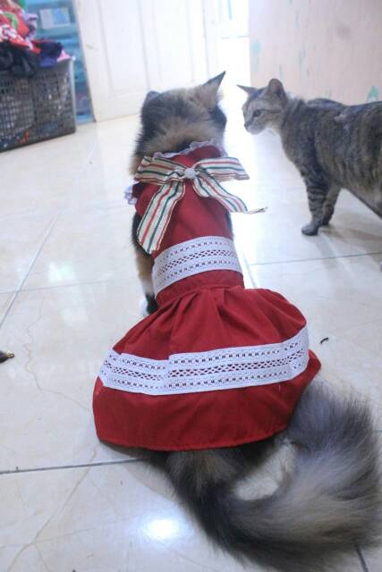 Dress kucing dan anjing edisi natal 2019 lucu murah meriah motif merah putih / baju kucing size S-XL