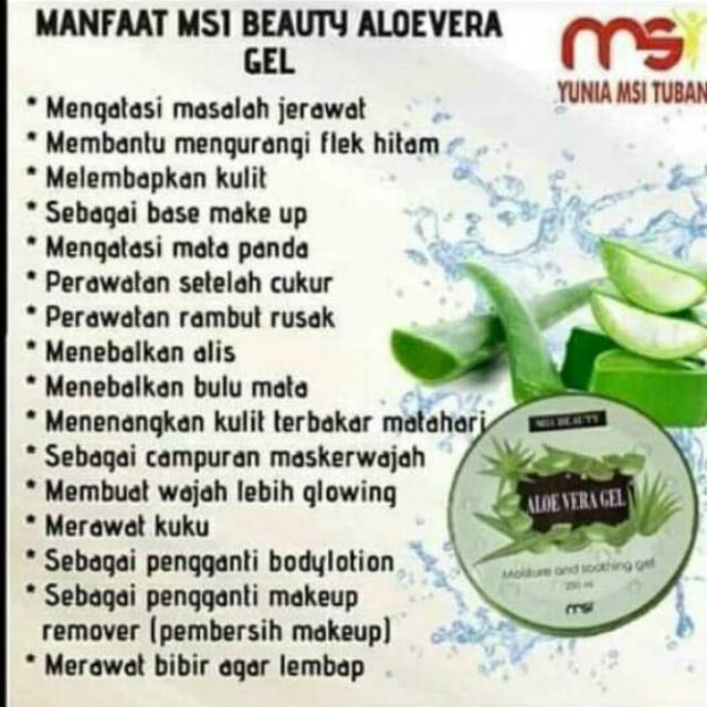 Aloe Vera Msi Original