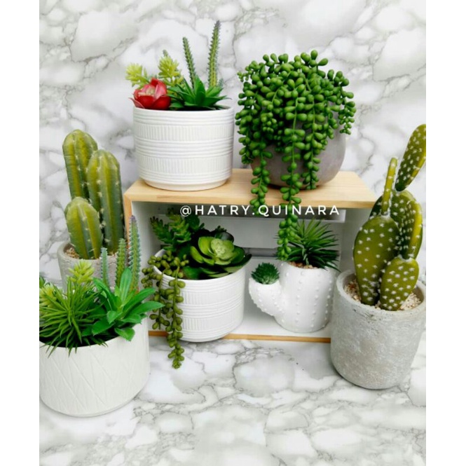cactus artificial,  kaktus palsu, kaktus palsu import, kaktus koboi palsu, kaktus centong palsu