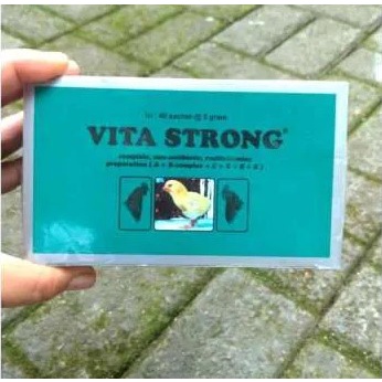 Vita Strong untuk Anak Ayam Burung dan Bebek