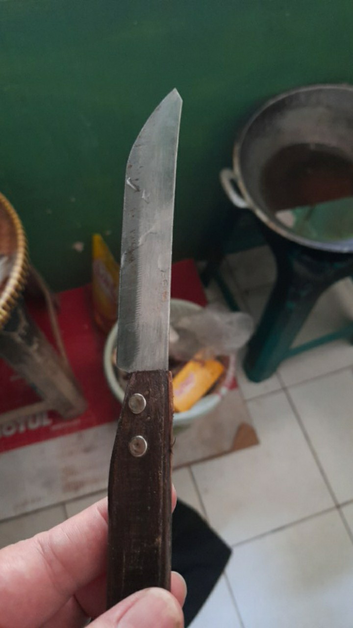 Pisau Dapur Stainless Gagang Kayu