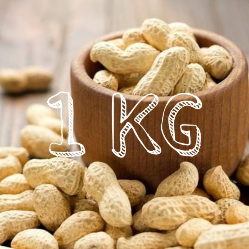 

1KG KACANG OVEN ASIN ORIGINAL KILOAN MURAH