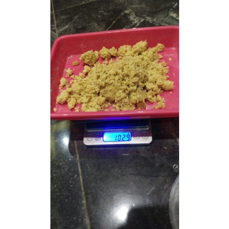 Telur maggot bsf