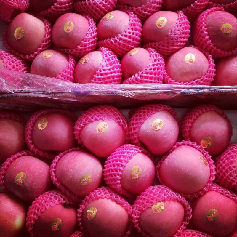 

apel fuji premium (1 kg)