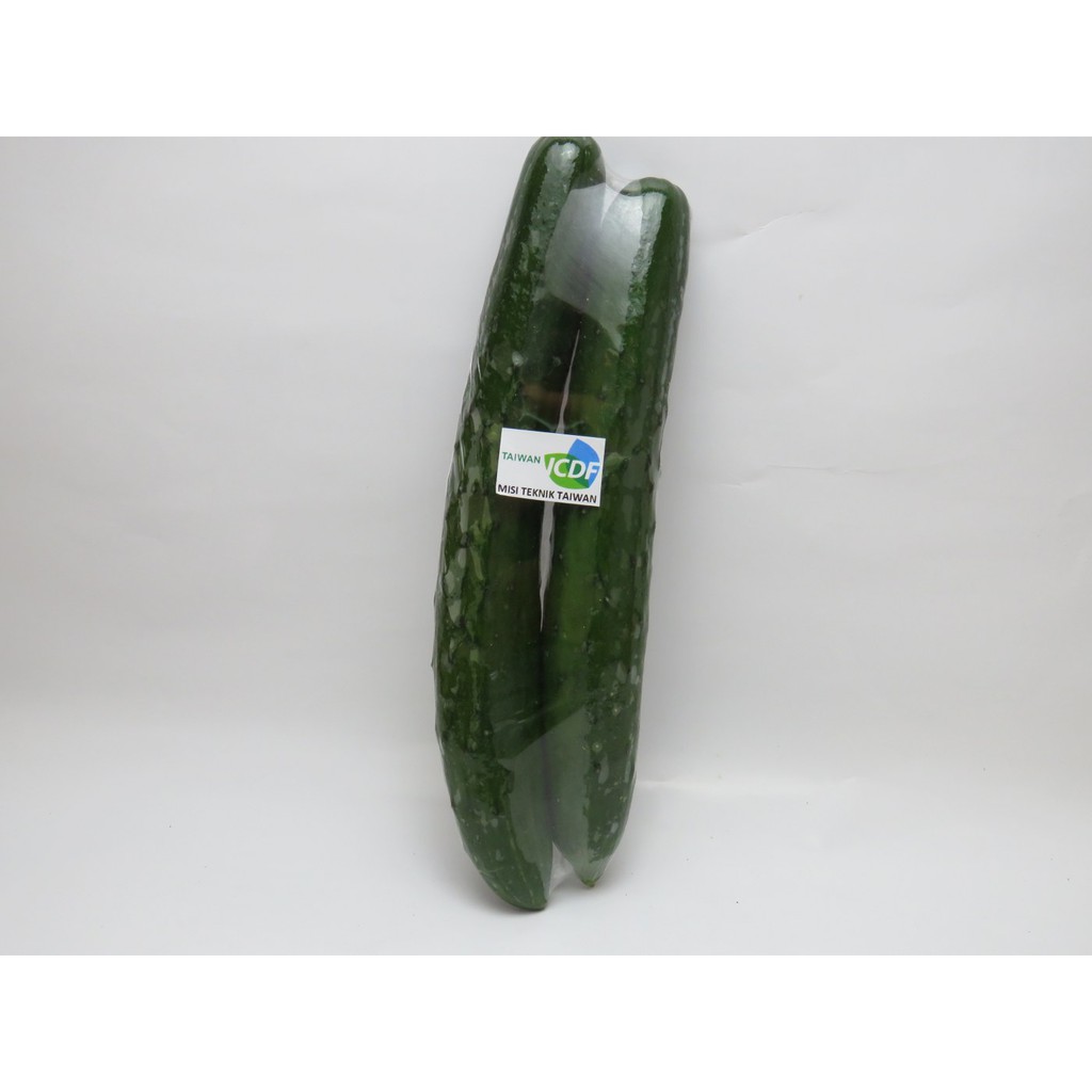 

Timun kyuri TTM 500 gram