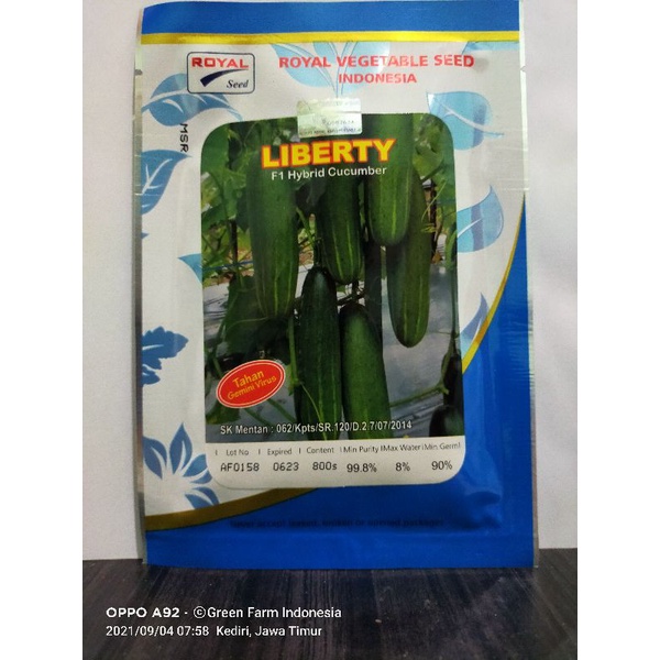 Timun Liberty F1 Timun Hijau Hibrida Umur Genjah 20gr Original Pabrik Royal Seed Liberti