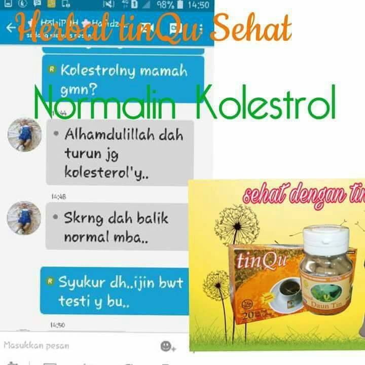 

Teh celup daun Tin ORI