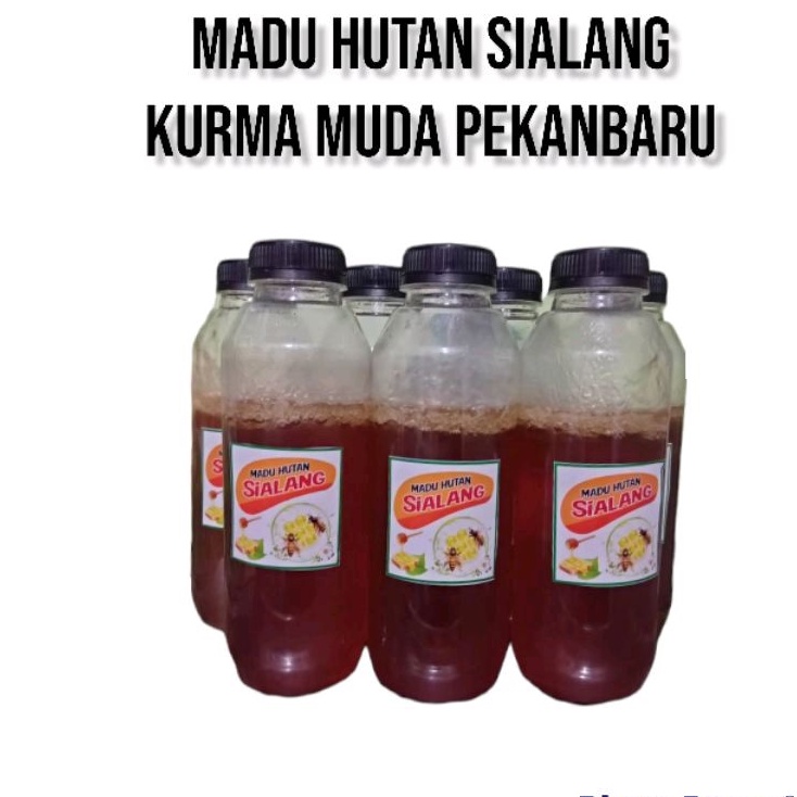 

Madu Hutan Sialang