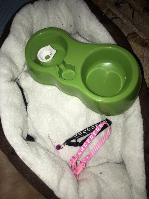 Hewan Anjing Kucing Pasokan Makanan Otomatis Mangkuk Botol Minum Mangkuk Makan