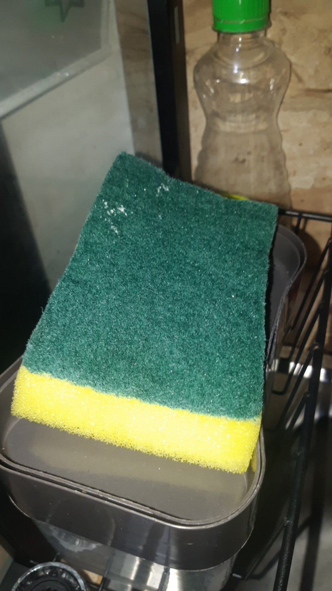 Polytex Sabut Spon Regular