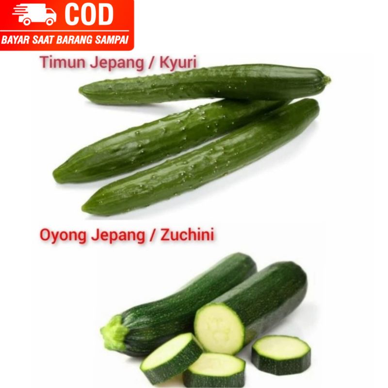 

(JAMBISTOREID) PILIH PENGIRIMAN INSTAN Timun Oyong Jepang Kyuri Zuchini 2pcs Sayur Import 500gram Bahan Masak Sayur Import Sushi Gimbab Kimbab