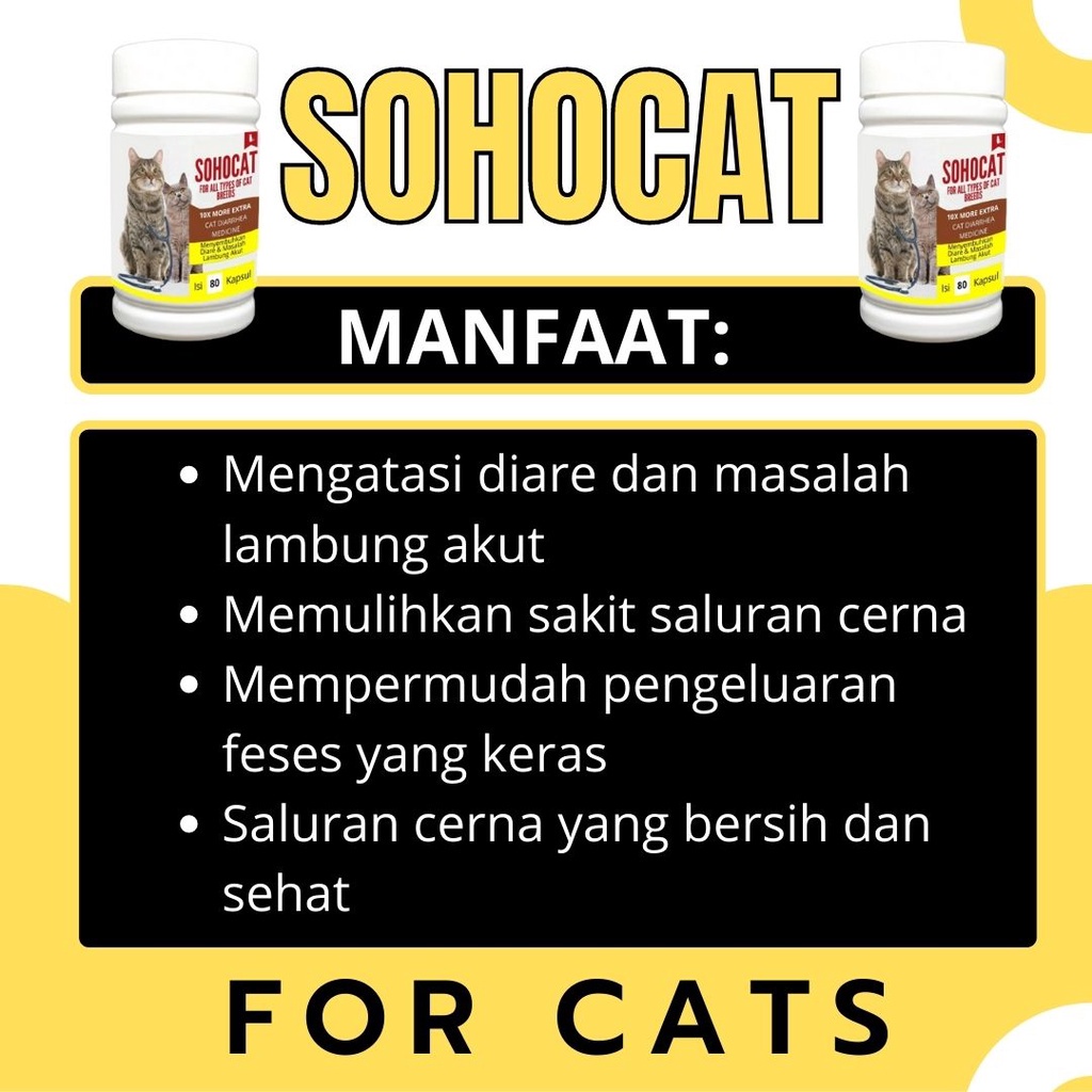 Obat Diare Mencret Kucing Eceran Terbukti Ampuh dan Aman Untuk Semua Jenis Kucing FEZONE