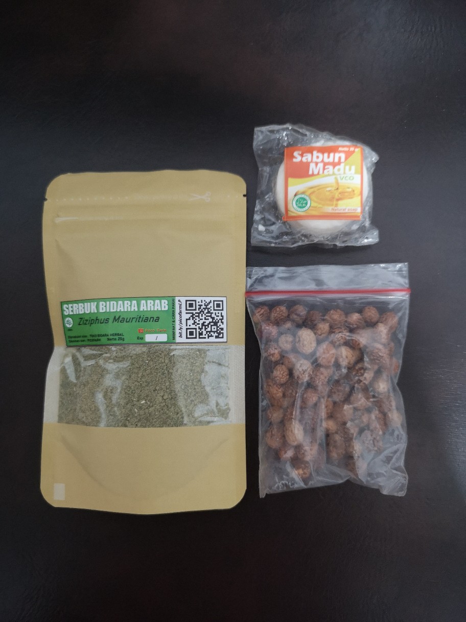 10 Benih Biji Pohon Bidara Arab