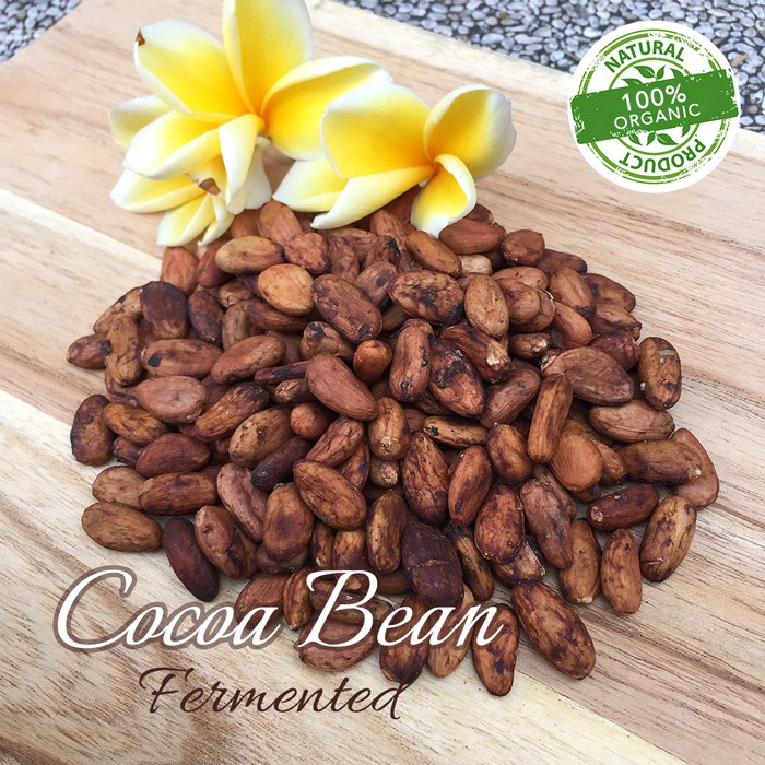 

RAW COCOA Bean / Biji Cokelat - 1kg / Coklat / Biji Kokoa / Cocoa Bean / Organic / Fermented