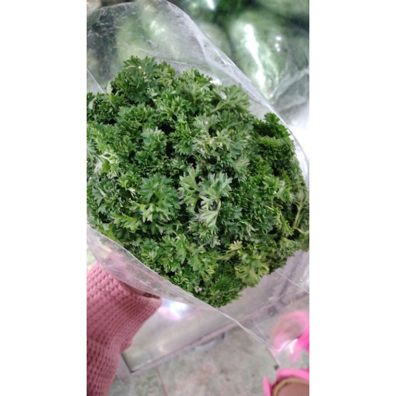 Daun Parsley Segar / Daun Petersely Segar