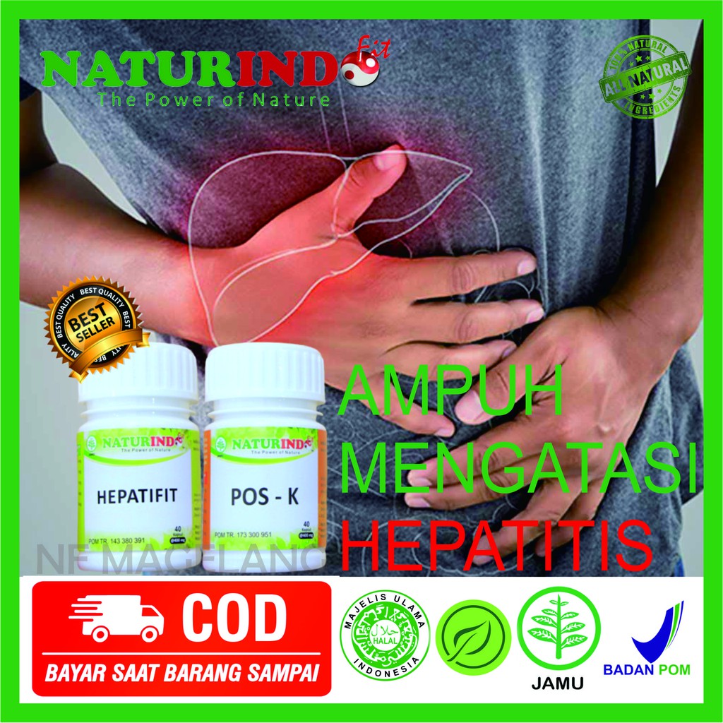 Obat Herbal hepatitis b kerusakan sel hati kekurangan protein hepatitissirosis hepatitis menular