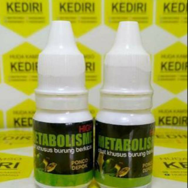 METABOLISME HIGH PONCO DEPOK / metabolis ponco