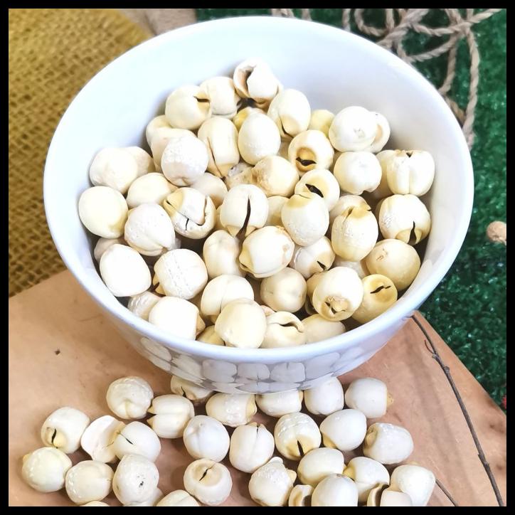 

DISKON TERBATAS !!! LOTUS SEEDS 1KG LIEN ZI BIJI TERATAI HERBAL TERLARIS