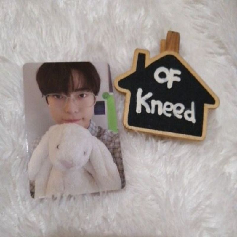 NCT 127 Album Sticker Doyoung pc bunny boneka photocard sticky seoul
