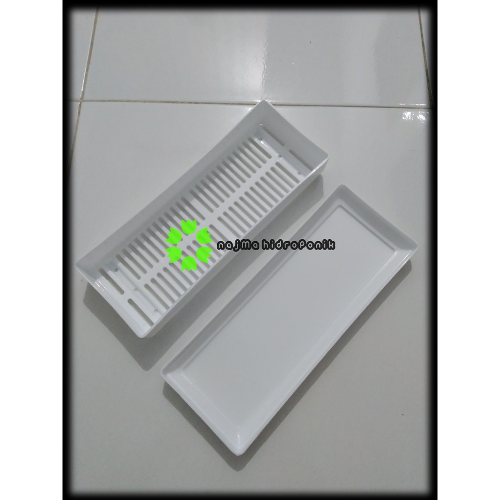 Tray Semai Bibit Microgreen Hidroponik