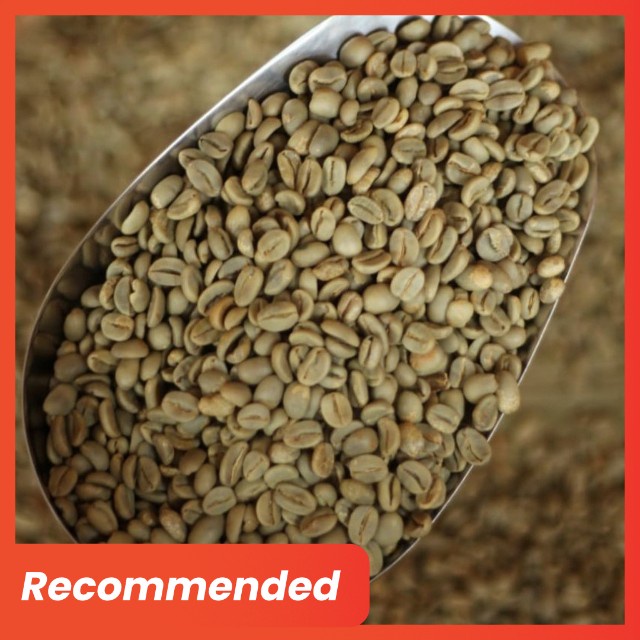 

Kopi Natural Arabika Aceh Gayo 1Kg - Green Bean Biji Kopi Mentah - AZA Coffee and Roastery