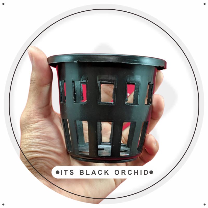 Pot Plastik Anggrek Vanda Remaja Bulat | Pot Gantung Kecil