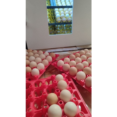 

orderan pelanggan pati