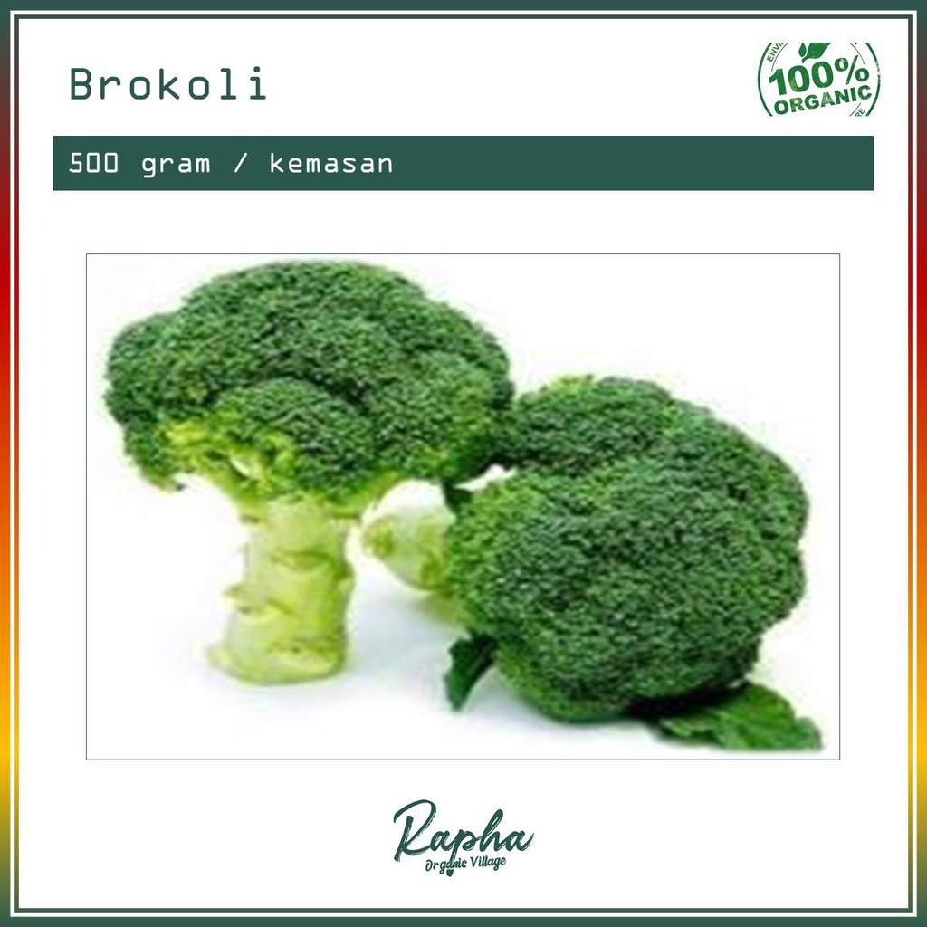 

Brokoli Organik