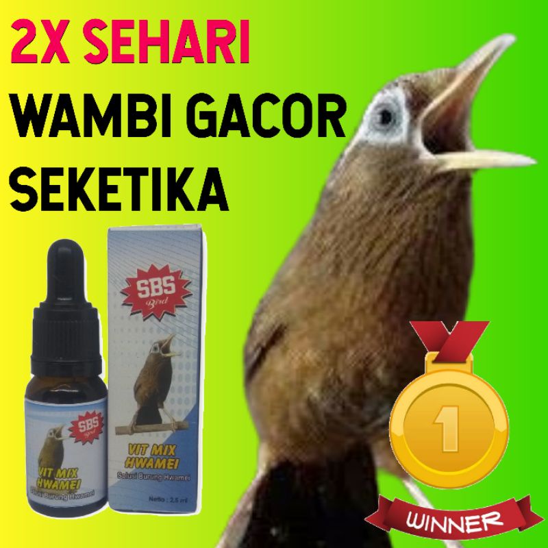 SBS BIRD VIT MIX HEAMEI PENGGACOR SOLUSI ANTI MACET BURUNG HWAMEI WAMBI HWA