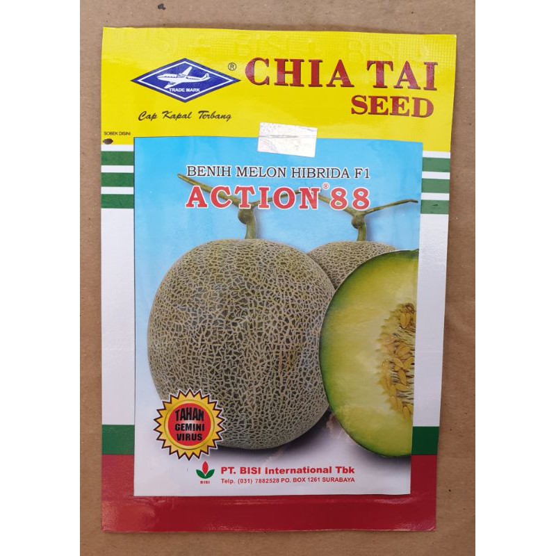 BENIH BIBIT MELON HIBRIDA F1 ACTION 88 (550biji)