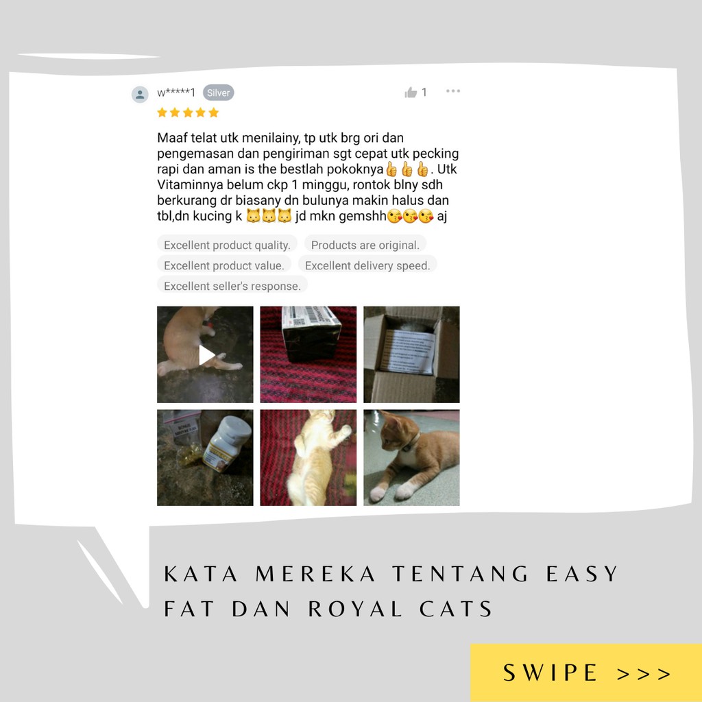 Vitamin Kucing Gemuk Gembul Easy Fat Penambah Nafsu Makan