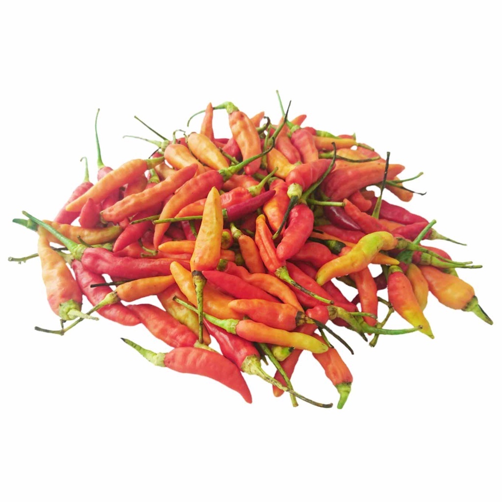 

[ Per 250 gram ] Cabai Rawit pedas ~ murah