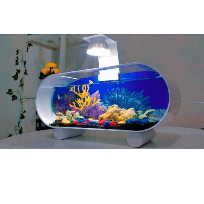 Harga Aquarium Unik Mini Terbaru Juli 2021 Biggo Indonesia