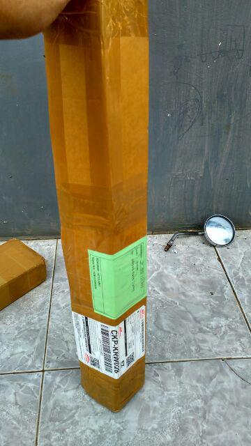 Termurah Bibit Tanaman Buah Alpukat Aligator Unggul/ Bibitt Murah Apokatt