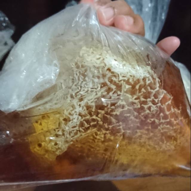 

MADU HUTAN ASLI MURNI (mentah) harga perbotol 100.000