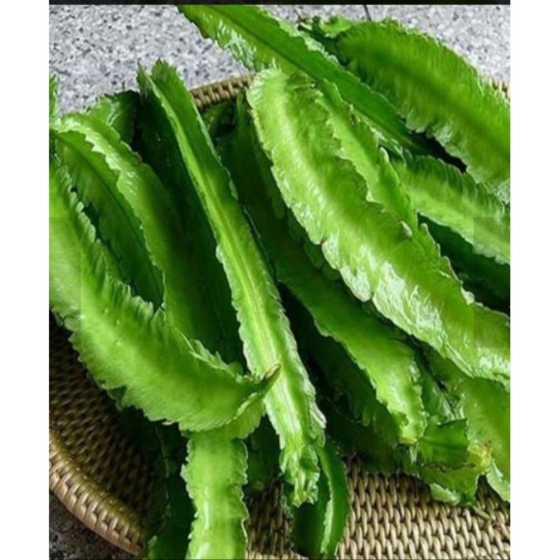 

Kecipir / 250gr