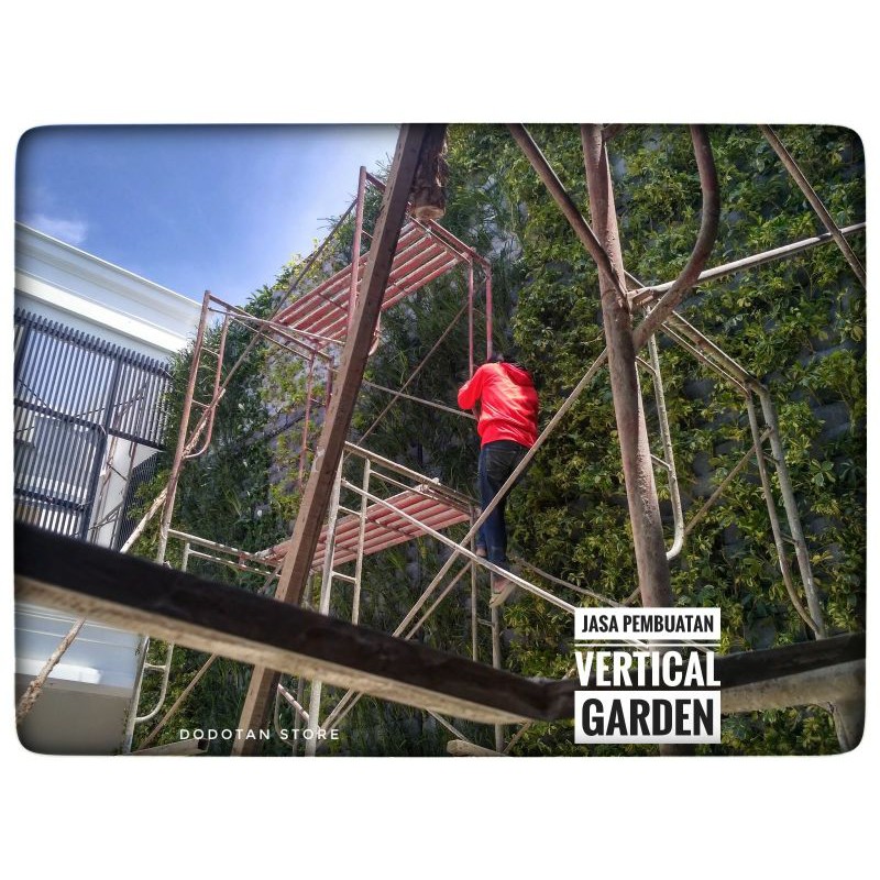 Jual Jasa Pembuatan Taman Vertikal / Vertical Garden / Taman Dinding