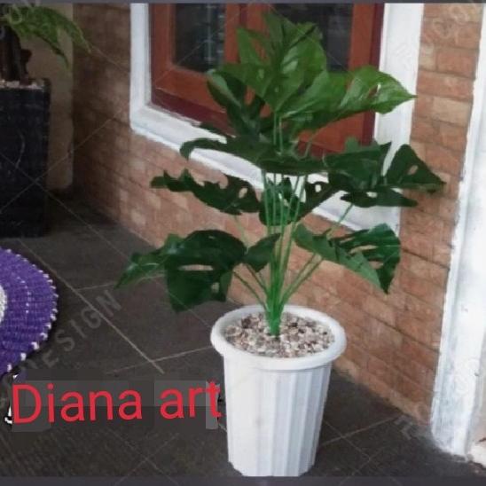 tanaman plastik#monstera latex#tanaman artificial jumbo