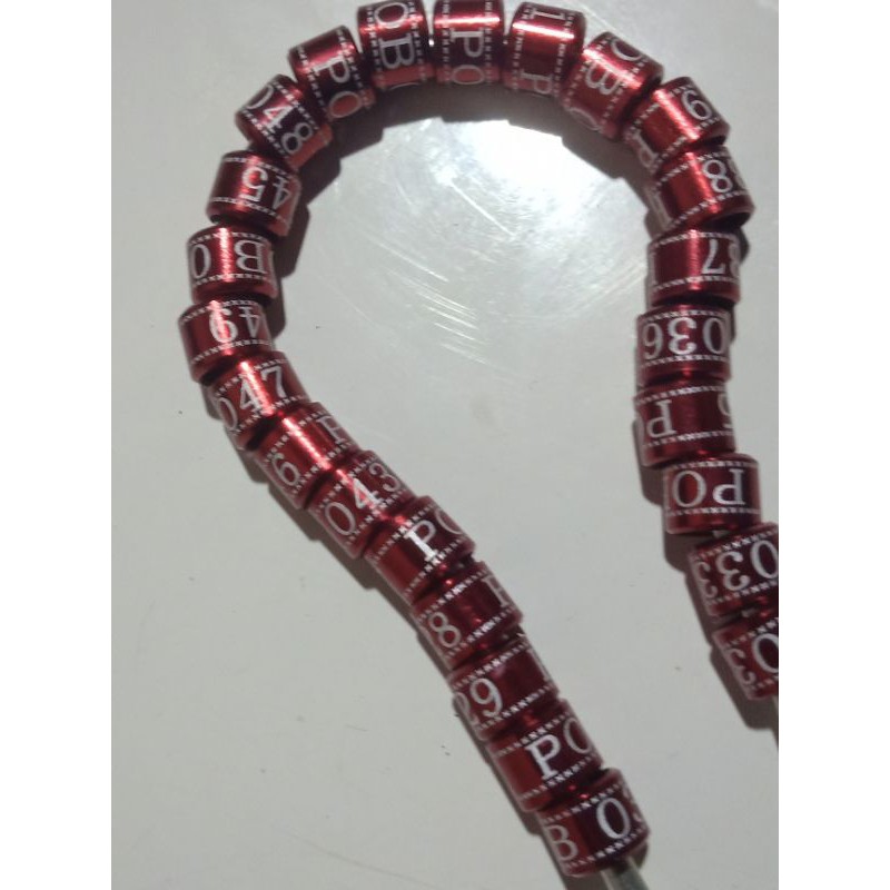 Ring burung perkutut model laser lis garis