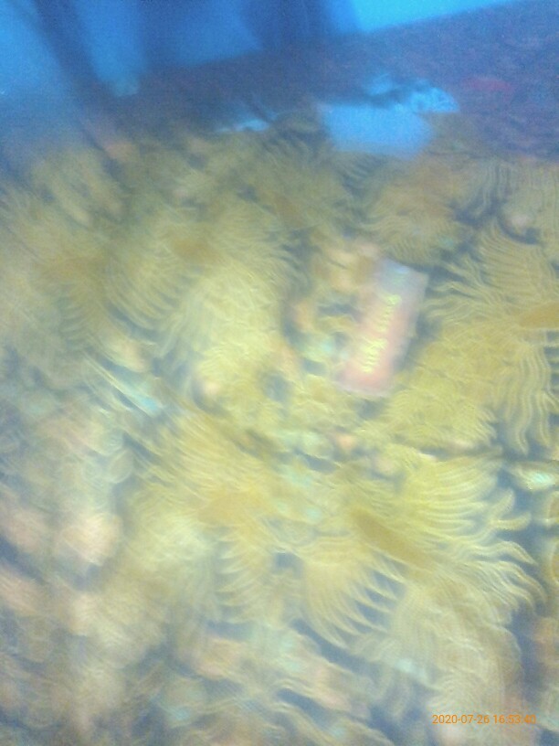 Kemeja Panjang Termurah Motif Batik Bunga Sumber Rejeki Grosir