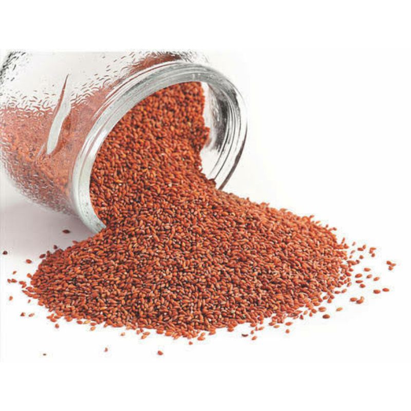 Jual Garden Cress Seed Biji Selasih Merah Penambah Calsium