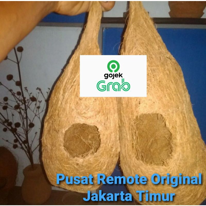 SUSUH BURUNG MANUK TEMPAT TELUR BURUNG LOVE BIRD KENARI PARKIT PERKUTUT